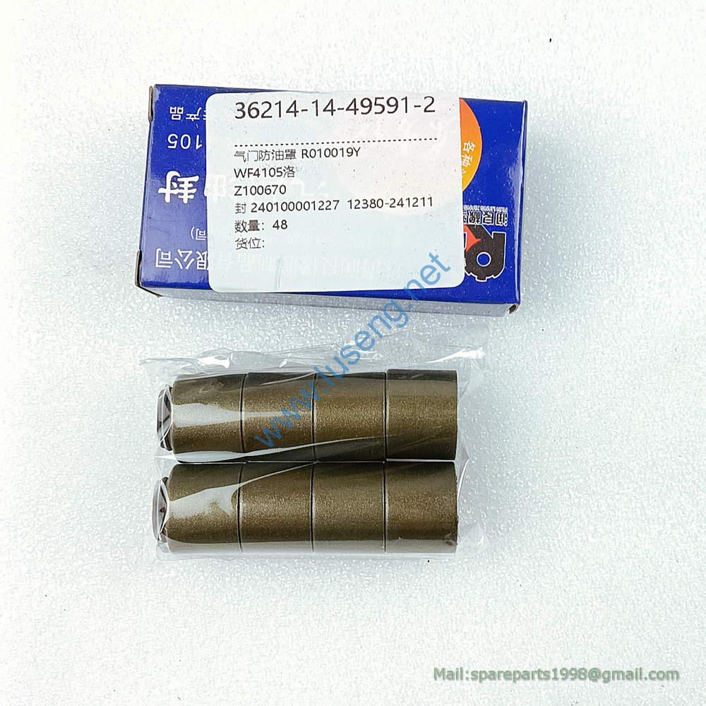 R.010019Y-1 240100001227 valve oil seal