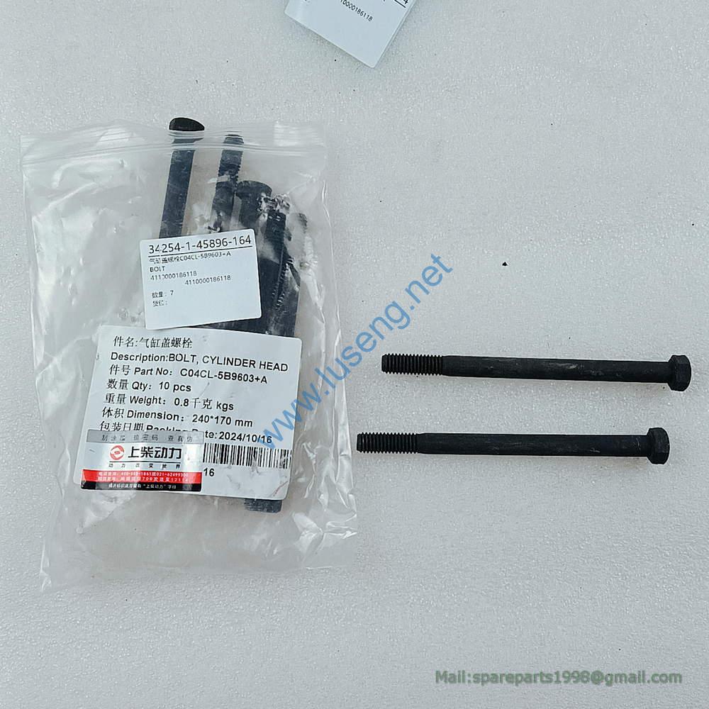 SP100549 JOINT LIUGONG