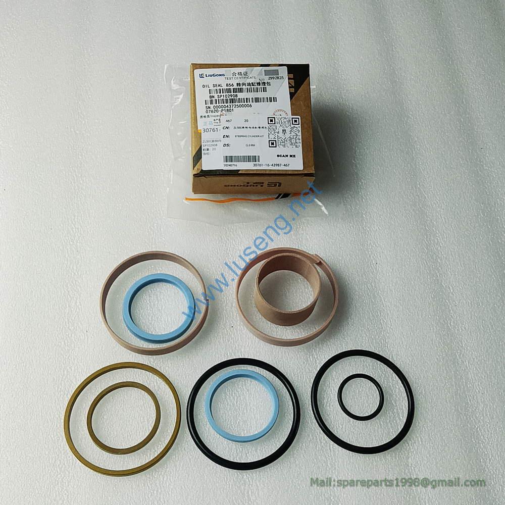 SP102908 STEERING CYLINDER KIT CLG856