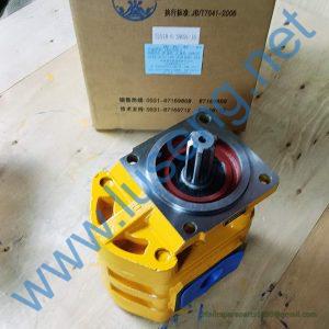 W-01-00103 gear pump changlin