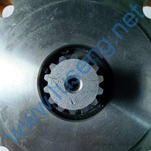 W-01-00187 CBGJ2080 GJ0020-XF 14 TEETHs gear pump changlin