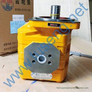W060600000 CBGJ2040 L gear pump SEM